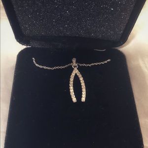 Silver Wishbone Necklace